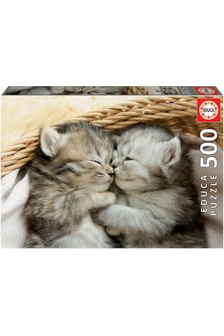 Educa Puzzle 500 Parça Tatlı Yavru Kedi 19004