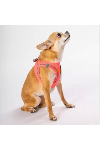 Pawstar Pembe -mesh Göğüs Tasması Göğüs Tasması Pembe 3xs Sku: Smg8690010328304