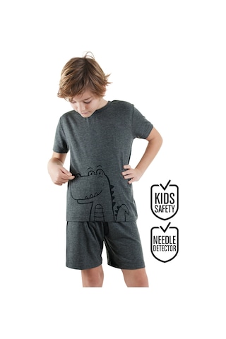 Dinozor Erkek Çocuk Gri Alt Üst Pijama Takım