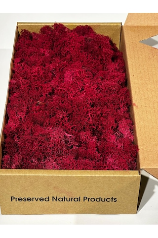 Reindermoss Şoklanmış Norveç Yosunu Terarium Yosunu Fushia 5 Kg.