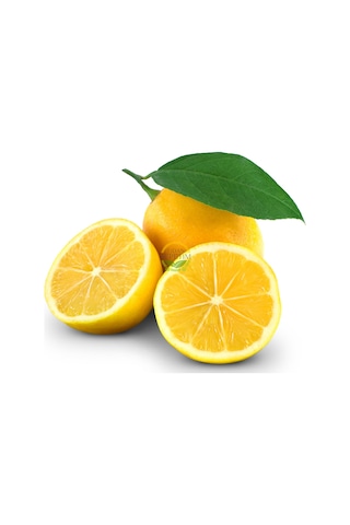 5 Yaş Aşılı 7 Veren Yediveren Mayer Limon Fidanı Xl Boy