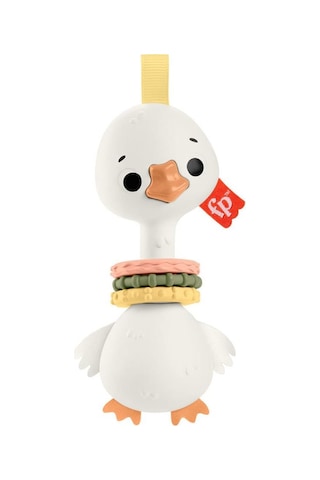 Hrb19 Fisher-price Sensimals Dişlik Seti Çok Renkli