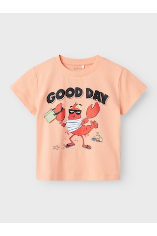 Name It Nmmfish Nreg Ss Top Box Unisex Çocuk T-shirt 13241295 Somon