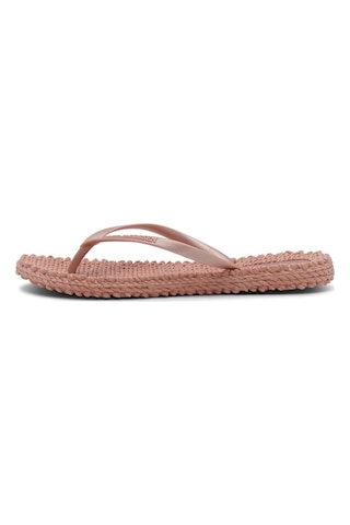 Ilse Jacobsen Misty Rose Cheerful02 - Pembe Düz Parmak Arası Terlik-6949 Pembe