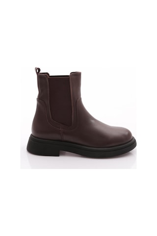 Dgn 5204 Kadin Bot Kahve Nappa