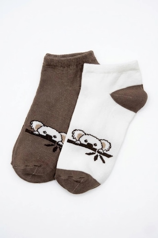 Cocole Socks Çocuk Patik Çorabı 2 Li Set Pamuklu Ekru & Kahverengi Koala Desenli Çok Renkli