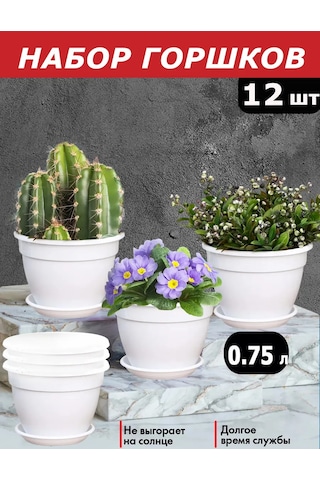 Saburg Çiçek Ve Sukkulent Saksıları, Viola Seti, Tepsili. 295691894