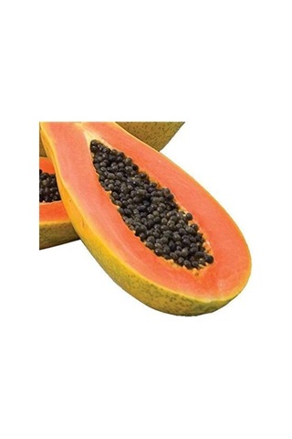 Ayrex Vipfoni Papaya Ağaç Kavunu Tohumu