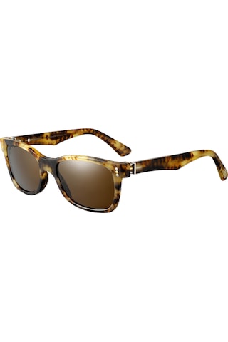 Cartıer Vıntage Premıère Mıles Havana Brown Kahverengi Unısex Polarize Wayfarer Güneş Gözlüğü