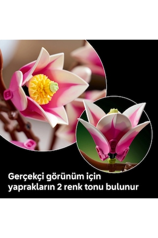 Botanicals Manolya Dalları 11510 Pembe