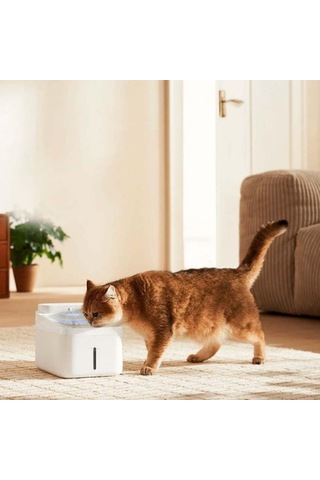 Smart Pet Fountain 2 Akıllı Evcil Hayvan Su Haznesi Türkiye Garantili