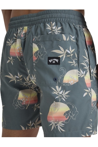 Bıllabong Billabong Vacay Lb Erkek Volley Short Dtr Çok Renkli