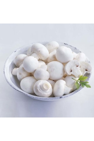 Dahil 2000 Adet KüLür Mantarı Tohumu