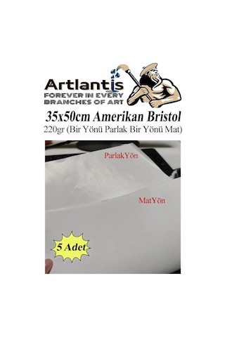 Amerikan Bristol Karton 35x50 Cm 5 Adet 220 Gr Bir Tarafı Parlak Bir Tarafı Mat Kağıt Biristol Karton