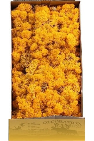 Reindeer Moss Hardal Şoklanmış Norveç Yosunu 30gr