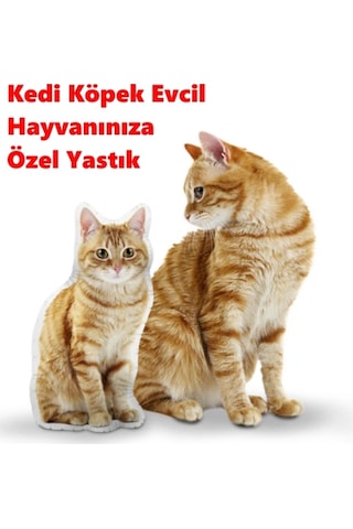Kişiye Özel Kedi Köpek Evcil Hayvanınıza Özel Yastık Çok Renkli