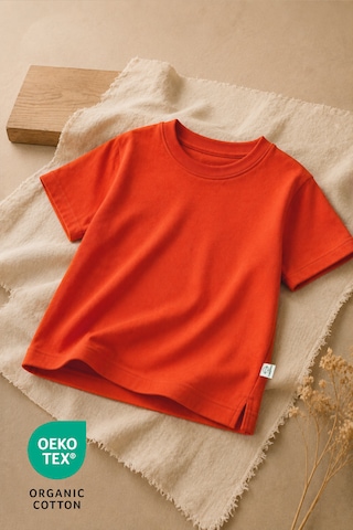 Luppinos Basic 2li %100 Pamuk Bisiklet Yaka Bebek-çocuk Tshirt Set Kiremit