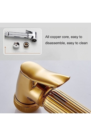 Tongxida Bosphorus Yıkama Ünitesi, Sones Nozulu, Krom Makineleri Kadın İçin Çok Renkli, İşlevli Durdurmalı Stili Çok Renkli