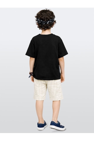 Denokids Erkek Çocuk Takım Zebra Baskılı Pamuk T-shirt Ve Çizgili Dokuma Şort Yazlık Takım Çok Renkli