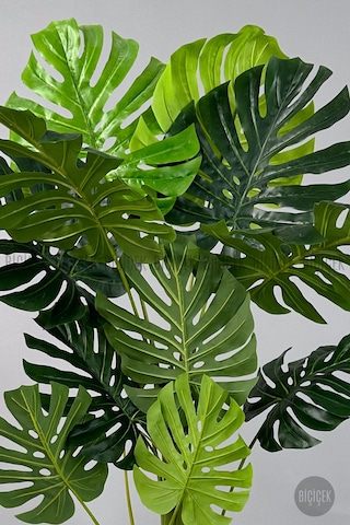 Biçiçek Yapay Monstera Ağacı Deve Tabani 160 Cm Beyaz Luna Saksıda