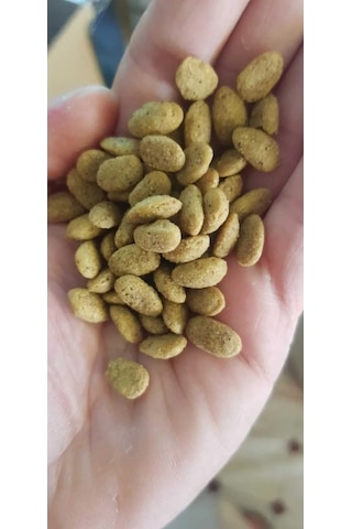 Versele Laga Nutribird P15 Original Pelet Papağan Yemi 1 KG Açık