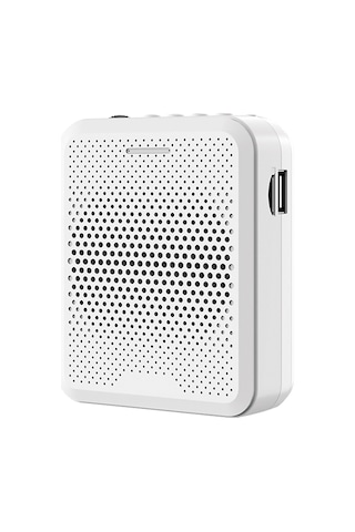 Reedark Deli Akıllı Gürültü Azaltmalı Mikrofonlu Ses Yükseltici - Usb/tf/aux Girişli, 1200mah Şarjlı, Öğretmen/rehber İçin