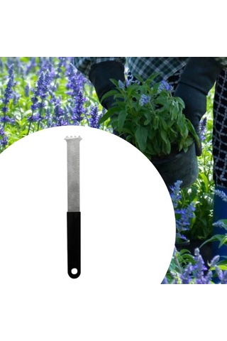 Pazly Tuğla Taşı Suntek Profesyonel Dış Mekan Çekici Parke Bloğu