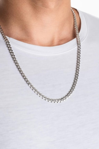 Perseus 60 Cm Gümüş Erkek Zincir Kolye Gri