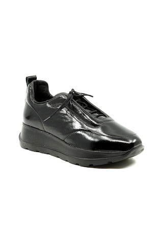 Dexter Tp22138-20 Çok Renkli