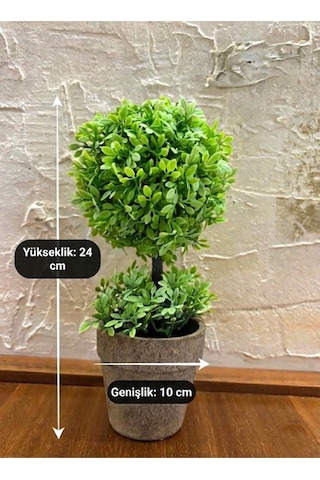 Zümrüt Yeşili İkili Topiary Aranjman 24 Cm X 10 Cm Yeşil