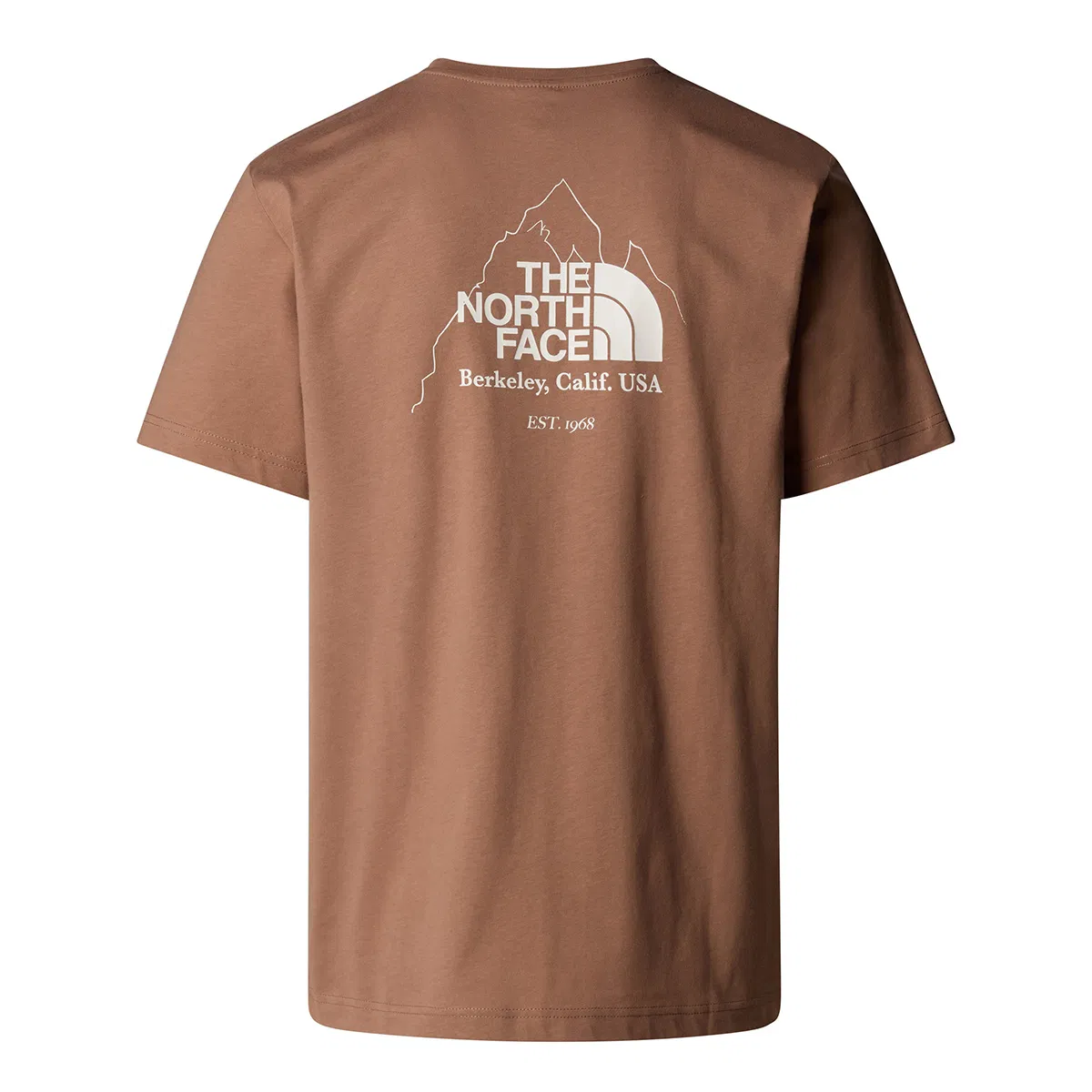 The North Face M Bıner Graphıc 4 Tee Erkek T-shırt Nf0a894z6ıh1 Kahverengi