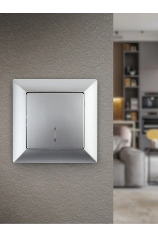 Intro Aydınlatmalı Tek Tuşlu Anahtar Solo 10a 250v 124039884