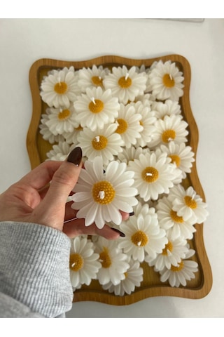 Bernami Biblo Pinterest 15 Adet Süslemeli Papatya , Nikah Şekeri, Doğum, Sünnet, Düğün Nişan Söz, Kına, Doğum