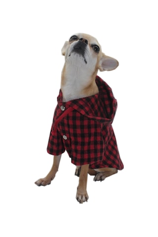 Pawstar Kırmızı Ekose Oduncu Kedi Köpek Gömleği