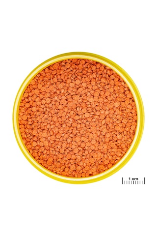 Jbl Pronovo Bıts Grano M 250ml