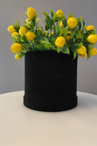 Kadife Silindir Kutuda Yapay Limon Ağacı Siyah-sarı