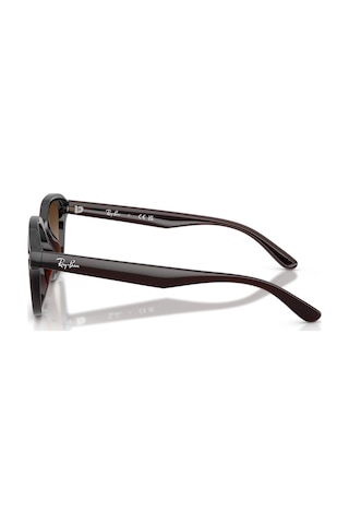 Ray-Ban Rb 0rb4458d 714/13 65 18 140 Gu036897 Erkek Güneş Gözlüğü Kahverengi