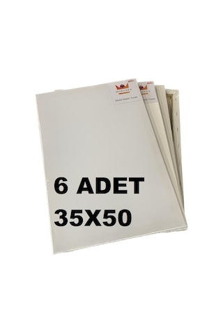 Tuval 6'lı 35*50 Çift Astarlı Arkadan Zımbalı Tuval