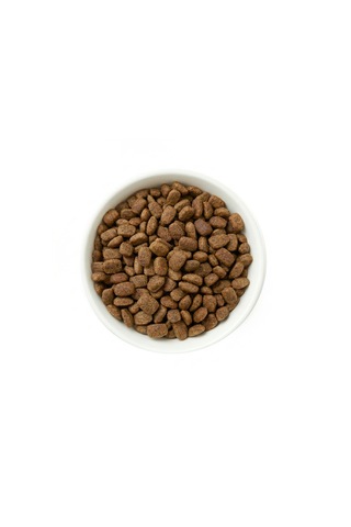 Zampa Plus Premium Kuzu Etli ve Pirinçli Küçük Irk Yetişkin Köpek İçin Kuru Mama 2500 G