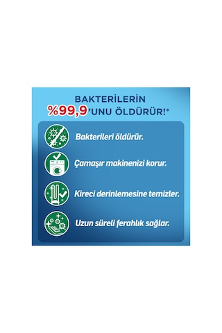 Lysol Çamaşır Makinesi Temizleyici Çam Ve Okaliptus Ferahlığı 250 Ml