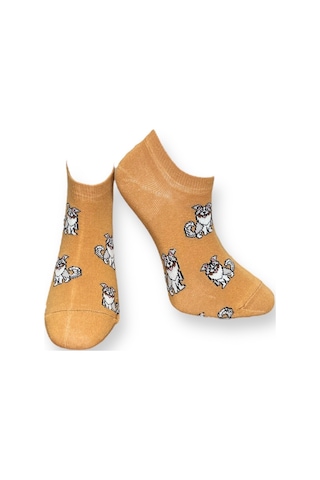 4'lü Unısex Köpek, Denizci, Kiraz Ve At Tasarımlı Esnek Nem Alabilen Pamuklu Spor Patik Çoraplar Çok Renkli