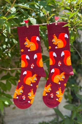 Lousocks Unisex Sincap Desenli Renkli Soket Çorap Bordo