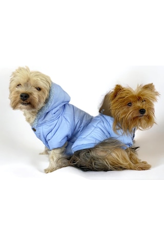 Baby Blue Comfy Köpek Montu, Köpek Ceketi, Köpek Dış Giyim