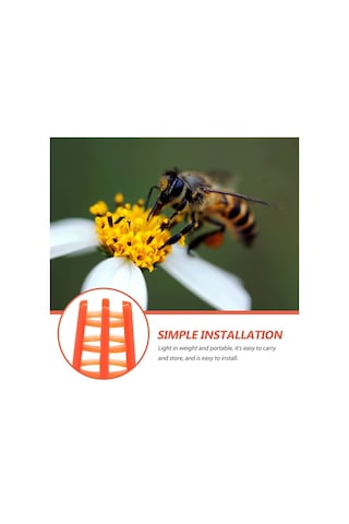 Xurunkeji Arı Kraliçesi Kapağı Bal Arısı Peteği İtmeli Kraliçe Hücre Koruyucuları Arıcılık Malzemeleri İçin Arıcılık Kraliçesi-arı Yetiştirme Kafesi