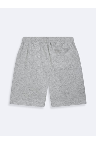 LTB Varsity Baskılı Örme Gri Şort