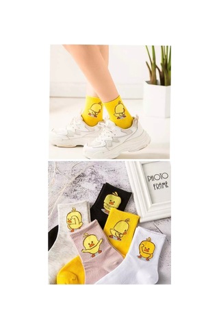 Worthy Socks 5 Çift Unisex Renkli Çeşitli Desenli Yıkamalı Civciv Kolej Tenis Çorap