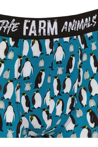 Farm Animals Penguins Desenli Boxer