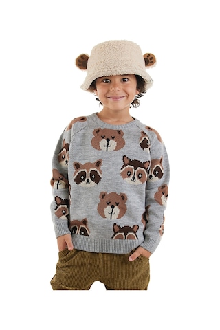 Denokids Ayı Rakun Erkek Çocuk Gri Triko Kazak Renkli