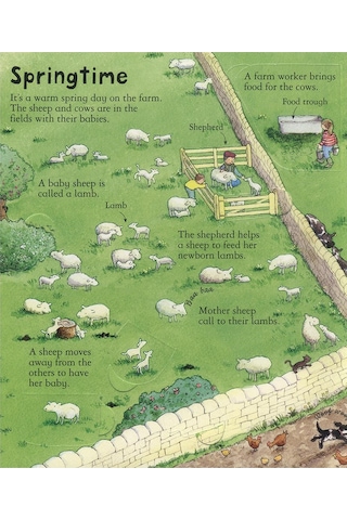 Look Inside A Farm - Usborne