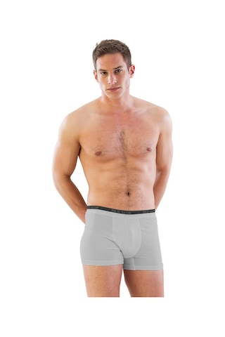 Gri Mı Emay 6950 Erkek Boxer Gri